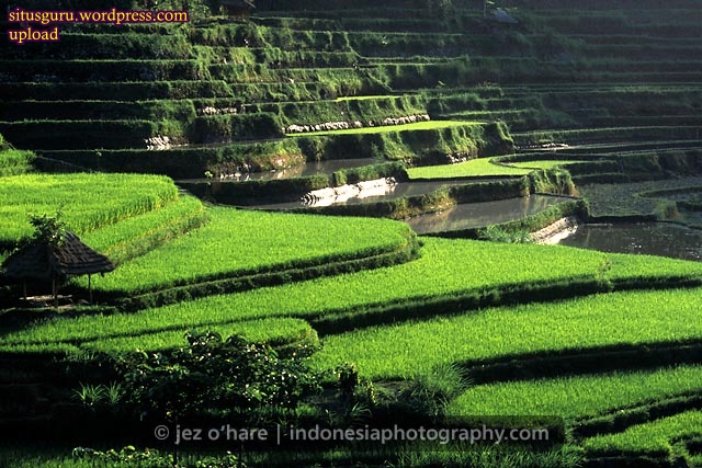  Alam  Indonesia yang Indah  Situsguru s Blog